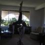 Amy Slater Photo 39