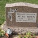 Adam Horn Photo 16