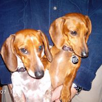 Beverly Howe Photo 34