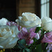 Rose Kelly Photo 42