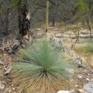 Rene Olson Photo 9
