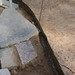 Step Brown Photo 13