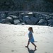 Donna Ackerman Photo 20