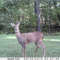 Craig Garrett Photo 31