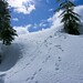 Alan Brooks Photo 33