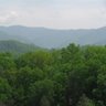 Lisa Sneed Photo 21