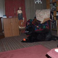 Linda Yaeger Photo 11