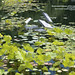 Rickey Long Photo 14