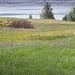 Catherine Meadows Photo 7