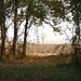 Donna Paolini Photo 11