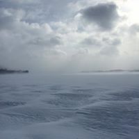 Craig Mackenzie Photo 39