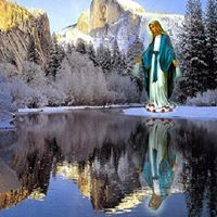 Nabil Saad Photo 16