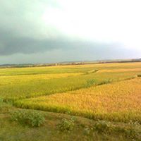Sohel Chowdhury Photo 14