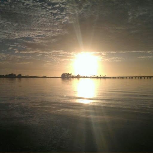 Lisa Robles Photo 27