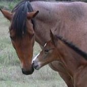 Tammy Marquart Photo 5