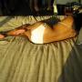 Tuyen Tran Photo 6
