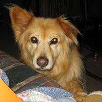 Debra Bunch Photo 4