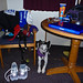Collie Johnson Photo 4
