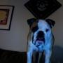 Dane Short Photo 11