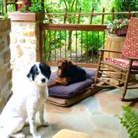Debra Compton Photo 38