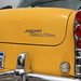Barbara Staats Photo 15