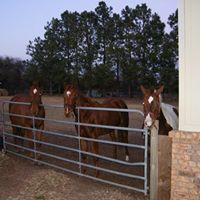 Janet Richter Photo 32