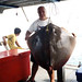Ray Fish Photo 20