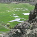 Dexter Meadows Photo 7