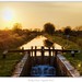 Shannon Lock Photo 13