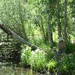 Jason Vining Photo 9