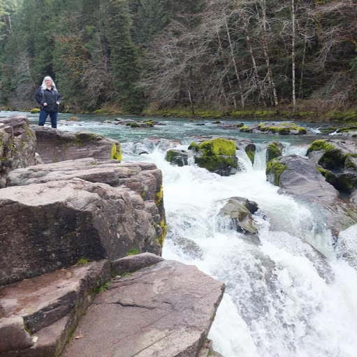 Danita Reynolds Photo 9