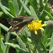 Charles Skipper Photo 22