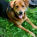 Colleen Schmidt Photo 22