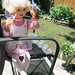 Jill Doll Photo 14