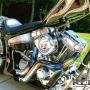 David Reece Photo 46