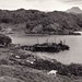 William Wester Photo 16