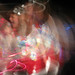 Martin Abrahams Photo 9