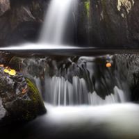 Don Powers Photo 12