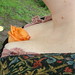 Amy Scarborough Photo 10