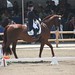 Debbie Mcdonald Photo 1