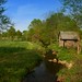 Rickey Morris Photo 34