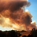 Bonny Summers Photo 15
