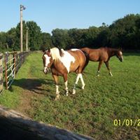 Deborah Connors Photo 13