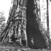 Fred Plummer Photo 18