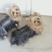 Donna Lemay Photo 6