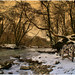 Gladys Wells Photo 8