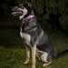 Laura Shepard Photo 18