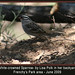 Lisa Polk Photo 18