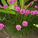 Denise Wolfe Photo 34
