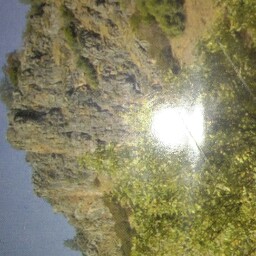 Theodore Jacobs Photo 3